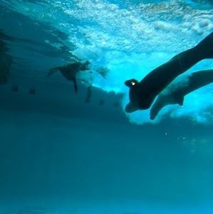 Meet your Posher, Madeline